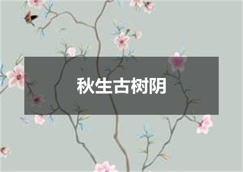 秋生古树阴
