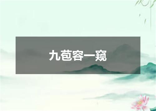 九苞容一窥