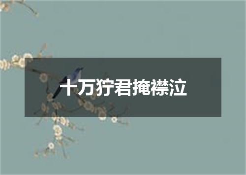 十万狞君掩襟泣