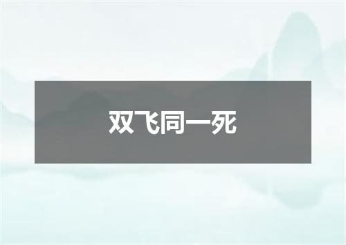 双飞同一死