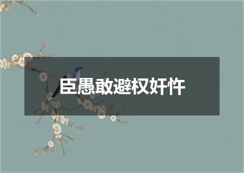 臣愚敢避权奸忤