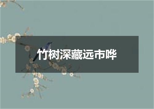 竹树深藏远市哗