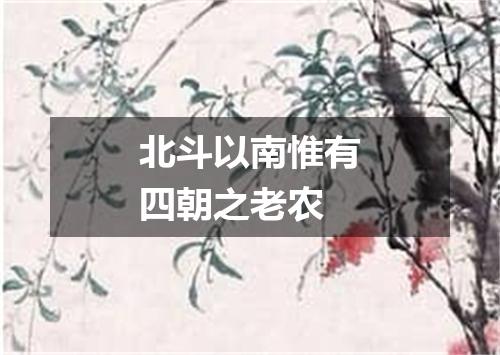 北斗以南惟有四朝之老农