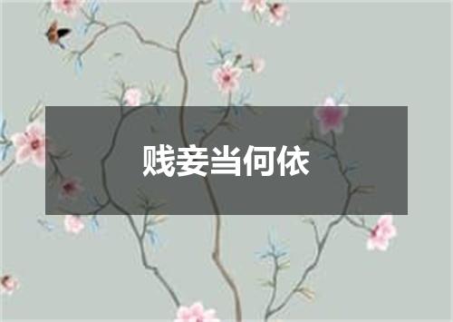 贱妾当何依