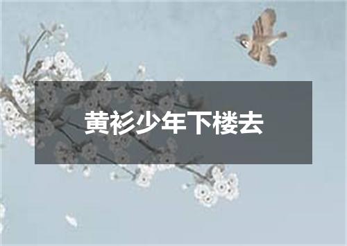 黄衫少年下楼去