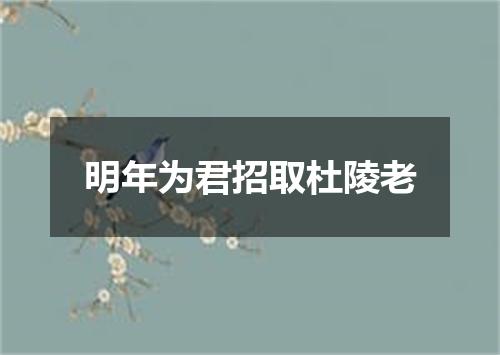 明年为君招取杜陵老
