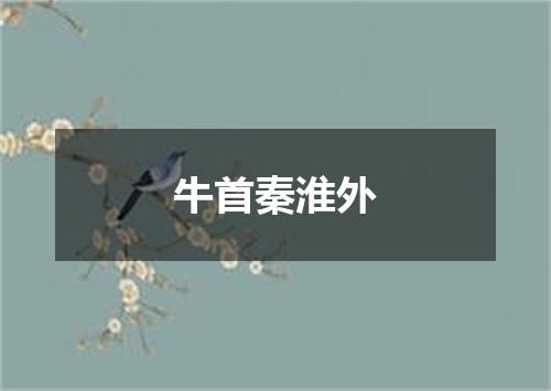 牛首秦淮外