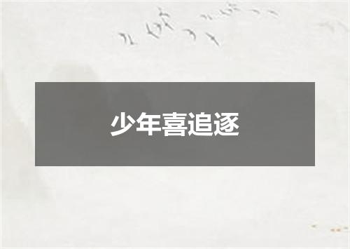 少年喜追逐