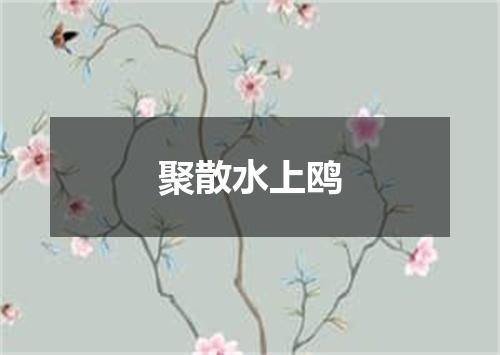 聚散水上鸥