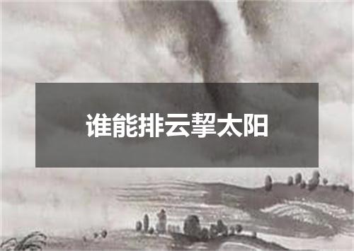 谁能排云挈太阳