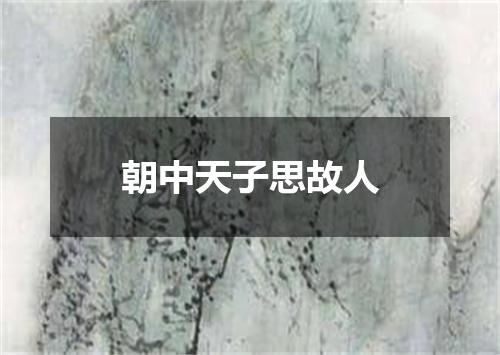 朝中天子思故人