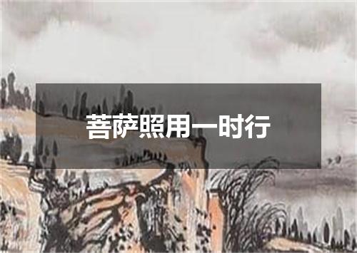 菩萨照用一时行