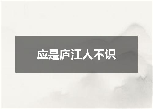 应是庐江人不识