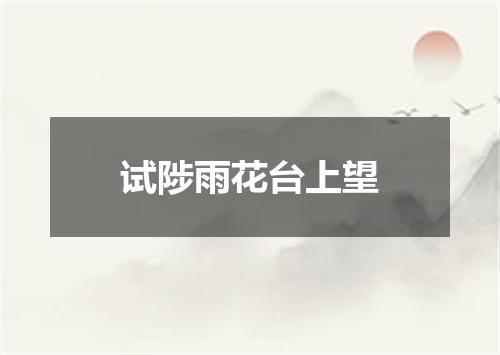 试陟雨花台上望
