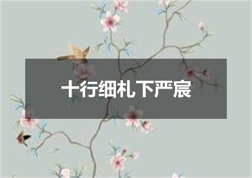 十行细札下严宸
