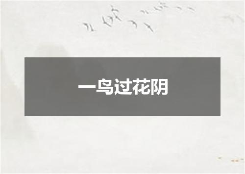 一鸟过花阴