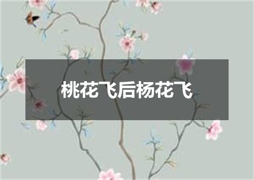 桃花飞后杨花飞