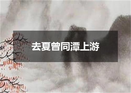 去夏曾同潭上游