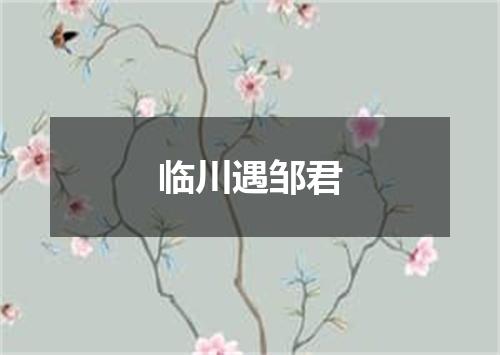 临川遇邹君