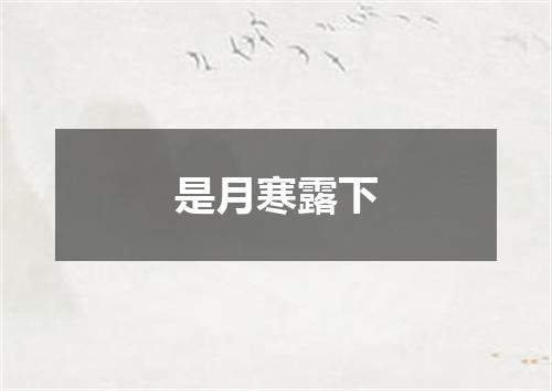 是月寒露下