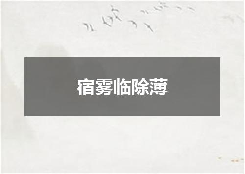 宿雾临除薄