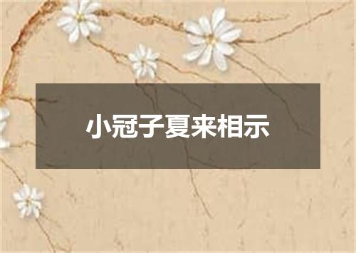 小冠子夏来相示