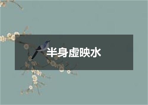 半身虚映水
