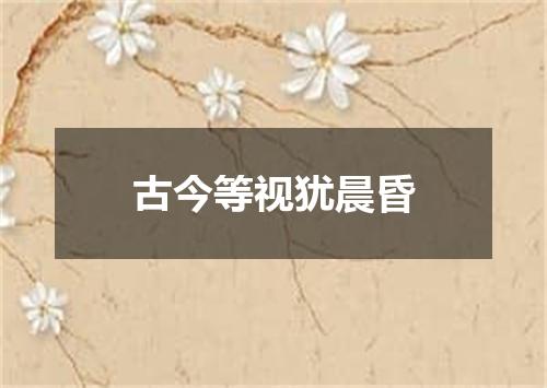 古今等视犹晨昏