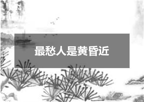 最愁人是黄昏近