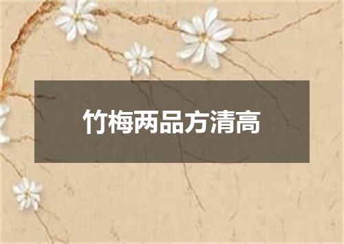 竹梅两品方清高