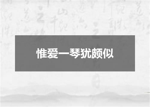 惟爱一琴犹颇似