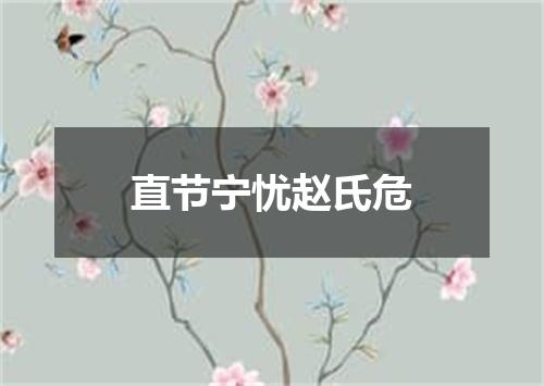 直节宁忧赵氏危