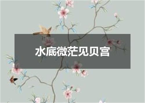 水底微茫见贝宫