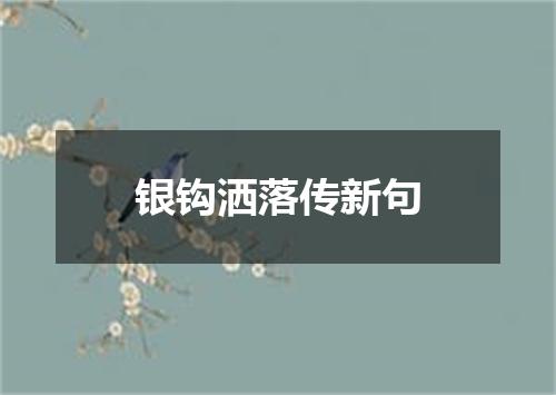 银钩洒落传新句