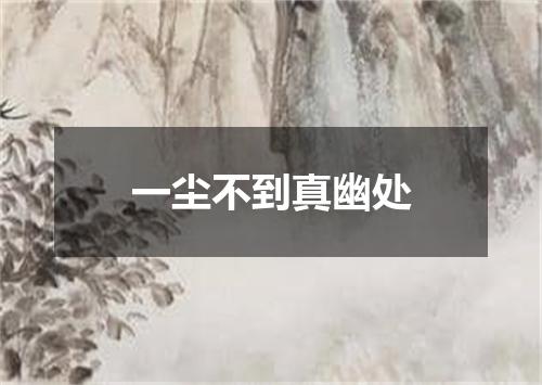 一尘不到真幽处