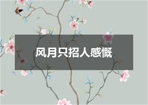 风月只招人感慨