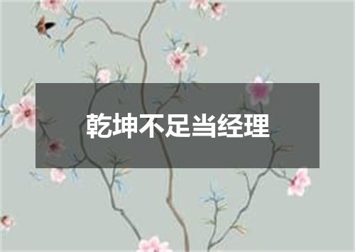 乾坤不足当经理