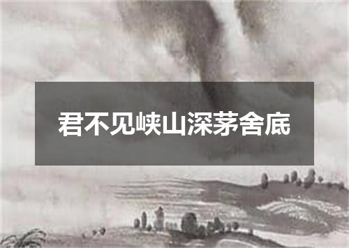 君不见峡山深茅舍底