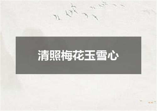 清照梅花玉雪心