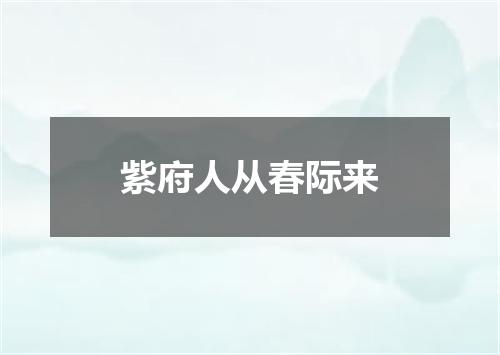 紫府人从春际来