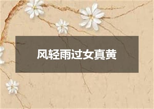 风轻雨过女真黄
