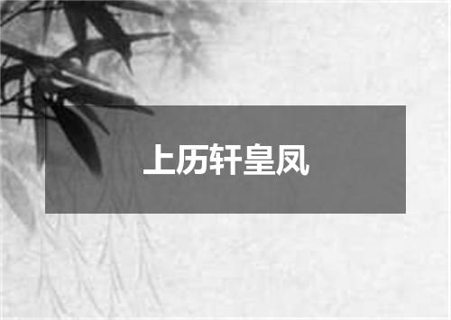 上历轩皇凤