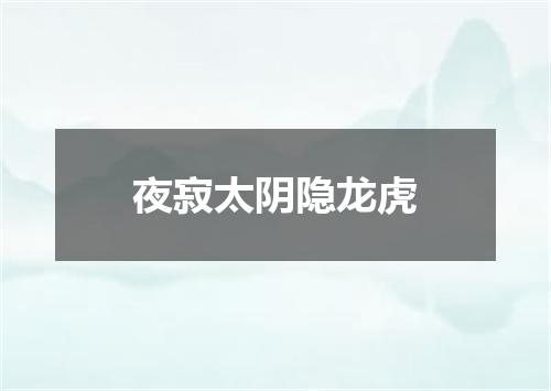 夜寂太阴隐龙虎