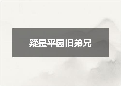 疑是平园旧弟兄
