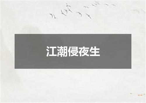 江潮侵夜生