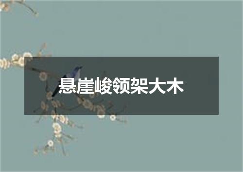 悬崖峻领架大木