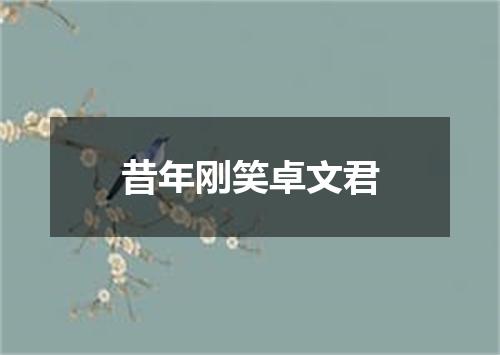昔年刚笑卓文君