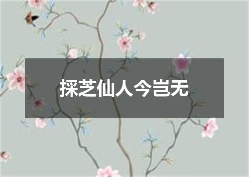 採芝仙人今岂无