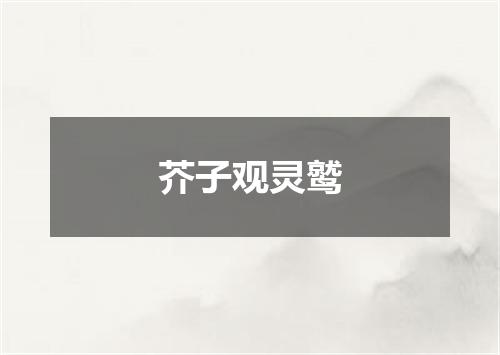 芥子观灵鹫