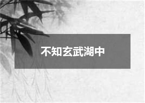 不知玄武湖中